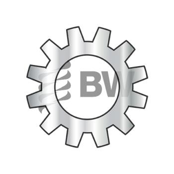 #12  External Tooth Lock Washer 18-8 Stainless Steel, 12WE188