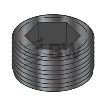 1/4  Flush Seating Socket Pipe Plug Plain, 00250PPSF