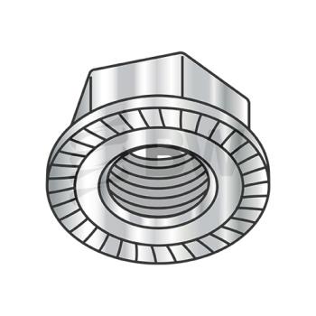 1/4-20  Serrated Flange Hex Lock Nuts 18-8 Stainless Steel